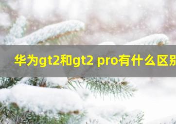 华为gt2和gt2 pro有什么区别